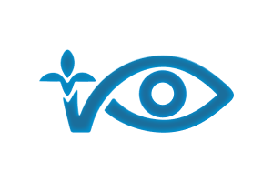 Filatov Institute of Eye Diseases and Tissue Therapy<br />
